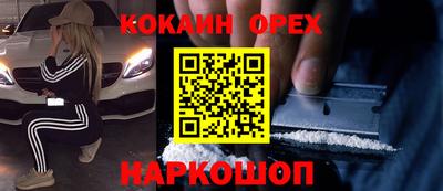 дмт Славгород