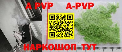 дмт Славгород