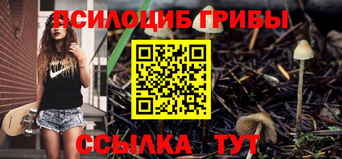 Псилоцибиновые грибы Cubensis Благодарный